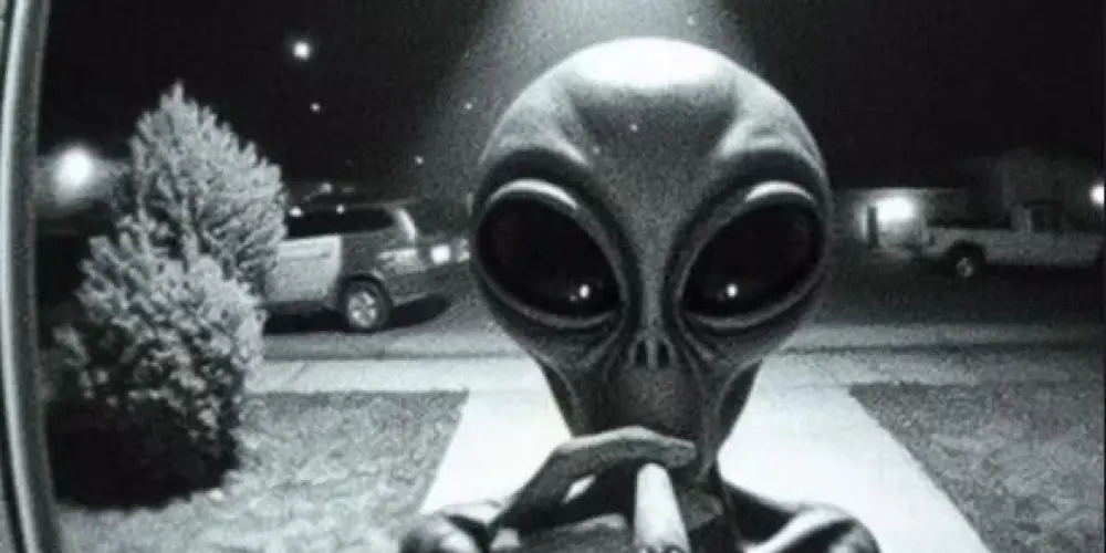 Imagem do grupo de WhatsApp 🛸 ❯❯ ⚡︎ ᴬᴿᴱᴬ ⁵¹ ⚡︎</>
