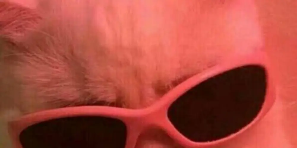 Imagem do grupo de WhatsApp 5811 resenha 2024