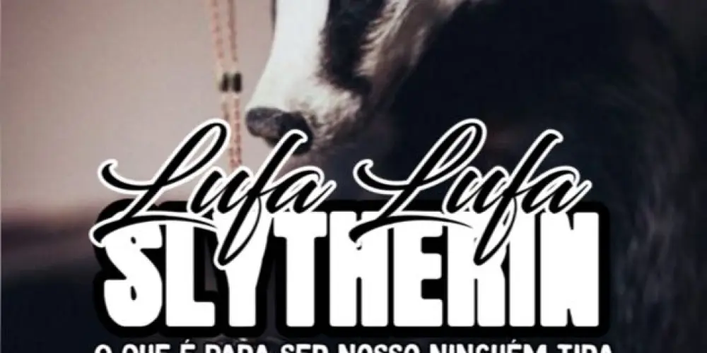 Imagem do grupo de WhatsApp ⁶ sℓy|🦡ℓυƒα ℓυƒα🦡