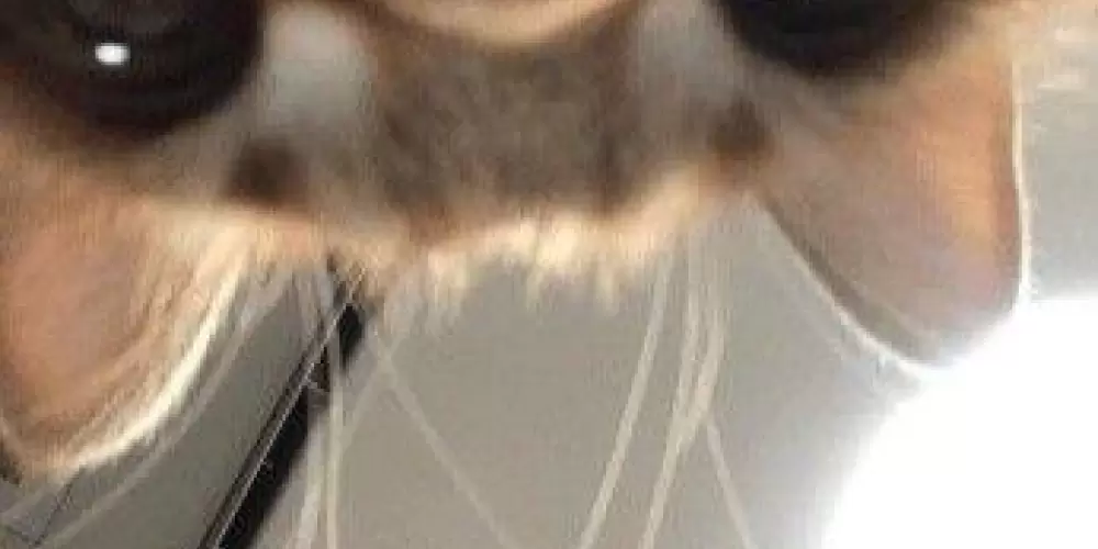 Imagem do grupo de WhatsApp 𝗗𝘪𝘷𝘶𝘭𝘨𝘢𝘤̧𝘢̃𝘰 𝘥𝘦 𝗛𝘰𝘶𝘴𝘦𝘴🌙