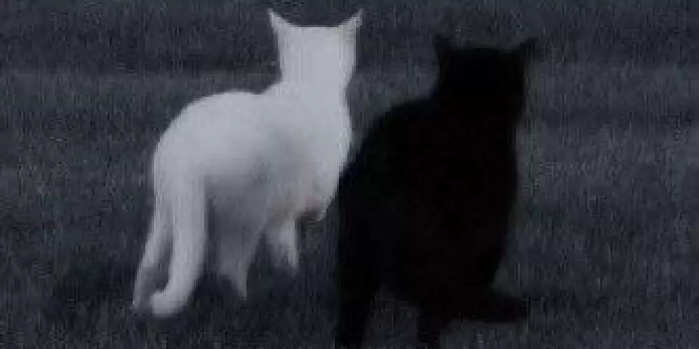 Imagem do grupo de WhatsApp 𝕱𝖗𝖎𝖊𝖓𝖉𝖘 †