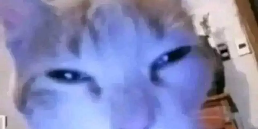 Imagem do grupo de WhatsApp 𝚏𝚊𝚕𝚊𝚛 𝚍𝚎 𝚚𝚕𝚚𝚛 𝚌𝚘𝚒𝚜𝚊 𝚖𝚜𝚖