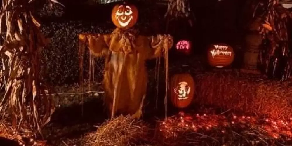 Imagem do grupo de WhatsApp ꧁𑁍𝐂𝐑𝐀𝐙𝐘-𝐓𝐀𝐋𝐊𑁍꧂