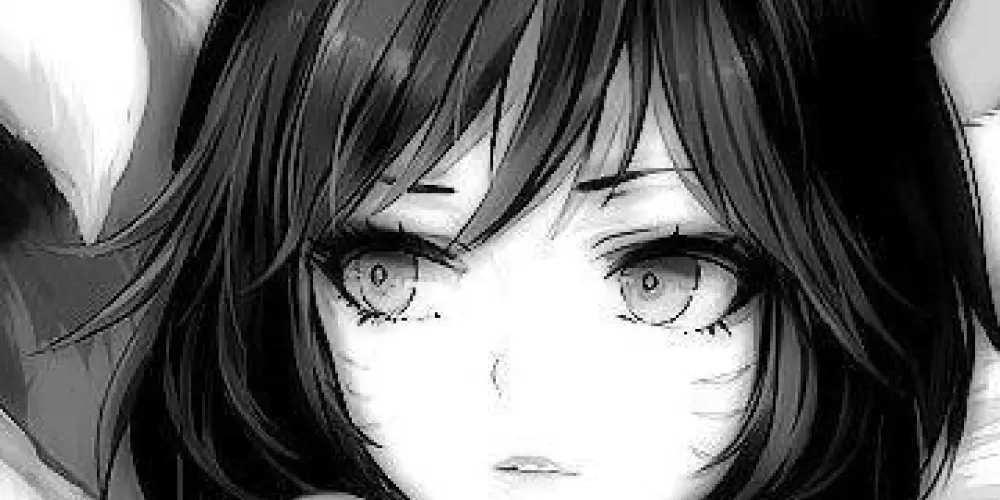 Imagem do grupo de WhatsApp 𝑷𝑨𝑫𝑹𝑶̃𝑬𝑺