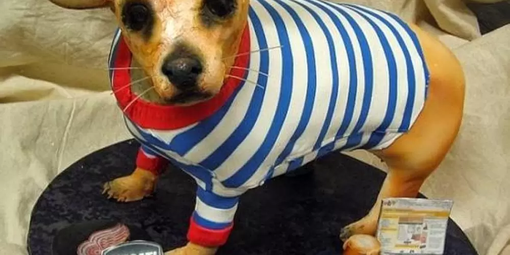 Imagem do grupo de WhatsApp 🎅🎄 𝑨𝒎𝒊𝒛𝒂𝒅𝒆𝒔 𝑬𝒔𝒕𝒓𝒂𝒏𝒉𝒂𝒔 🎅🎄