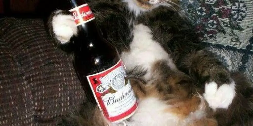 Imagem do grupo de WhatsApp ꧁❤🅰🅼🅸🆉🅰🅳🅴 🅾🆄 🅽🅰🅼🅾🆁🅾꧂◤