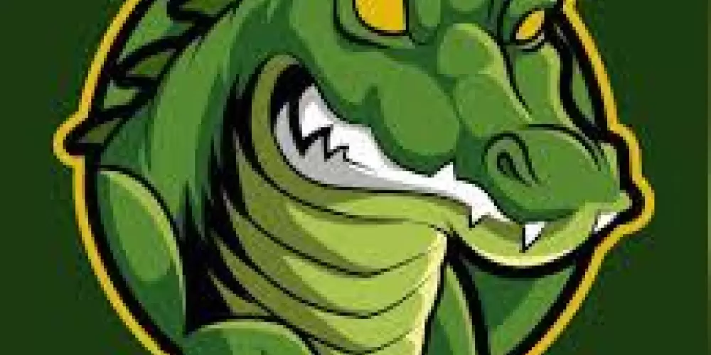 Imagem do grupo de WhatsApp 𝔍𝔞𝔠𝔞𝔯𝔢𝔰 𝔣𝔲𝔯𝔦𝔬𝔰𝔬𝔰