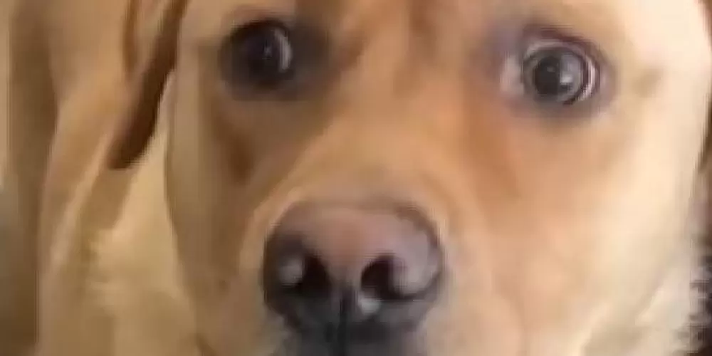 Imagem do grupo de WhatsApp 𝐶͢𝛨𝜦͢𝛵