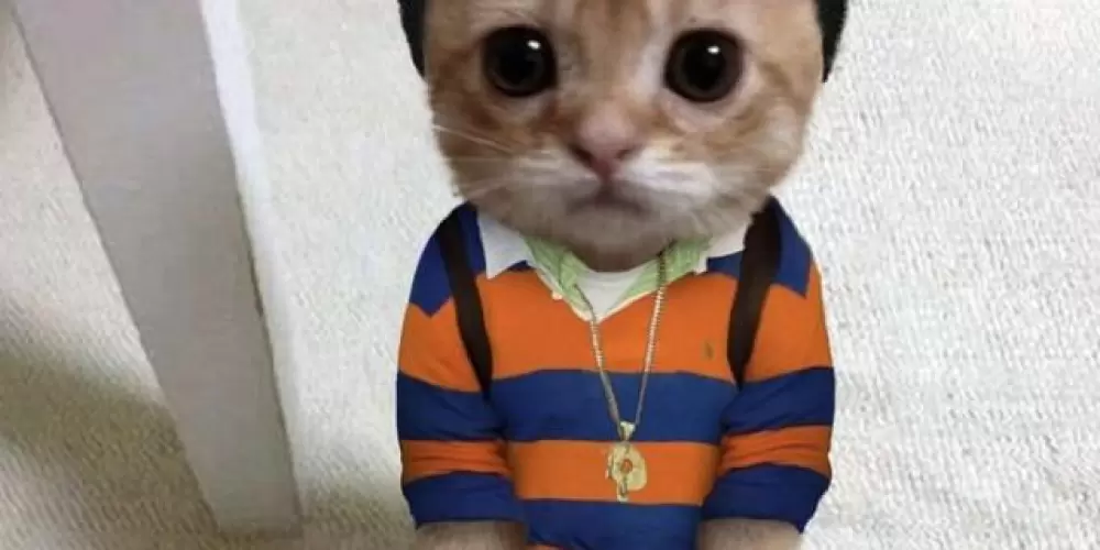 Imagem do grupo de WhatsApp ℂ𝕣𝕒𝕫𝕪