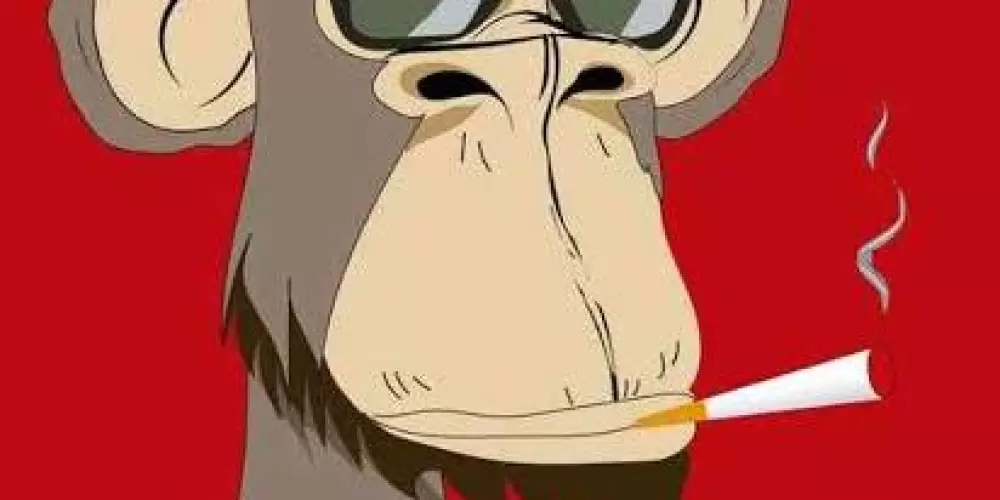 Imagem do grupo de WhatsApp 一═デ︻𝙏𝙃𝙀 𝘽𝙀𝙎𝙏 𝘾𝙊𝙇𝙇𝙀𝙂𝙐𝙀𝙎︻デ═一