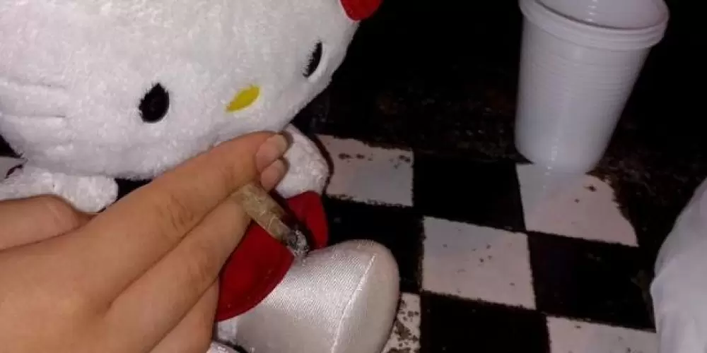 Imagem do grupo de WhatsApp 𝐻𝛯𝐿𝐿𝛩 𝐾𝐼𝑇𝑇𝑌 𝑭𝑈𝑀𝛢𝑁𝑇𝛯