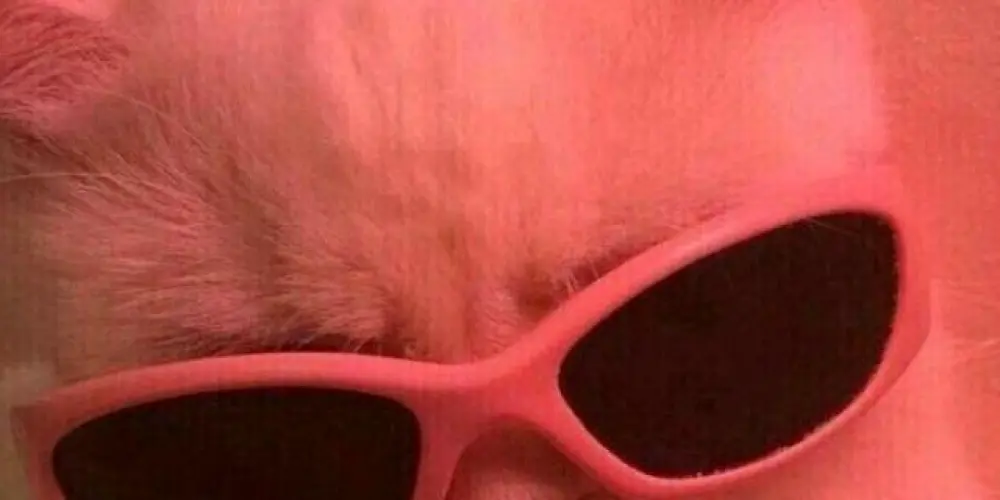 Imagem do grupo de WhatsApp 𝖂𝖊𝖇 𝕬𝖒𝖎𝖌𝖔𝖘