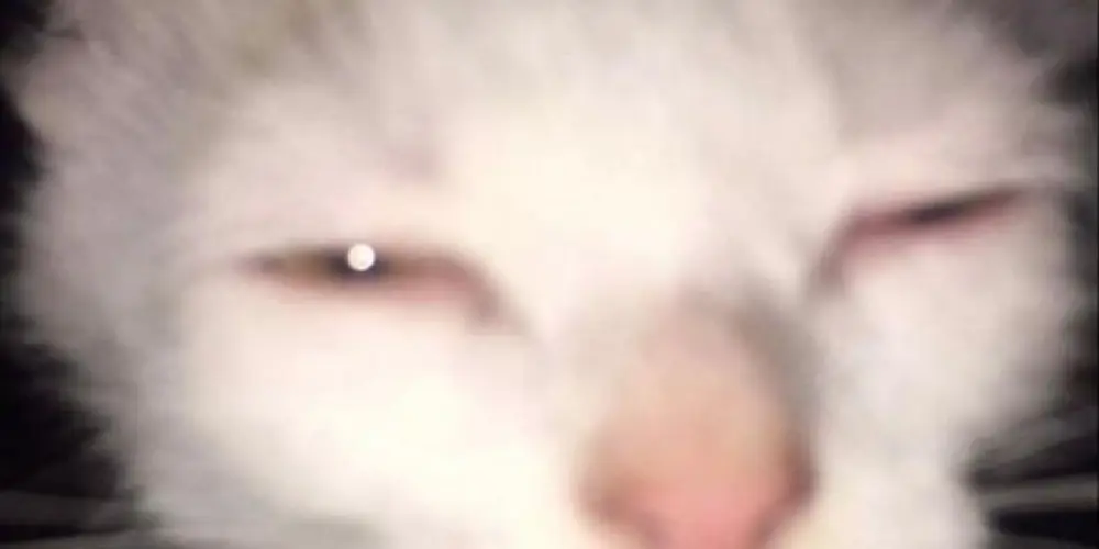 Imagem do grupo de WhatsApp 𝙱𝙾𝚁𝙰 𝙰𝙼𝙸𝙶𝙰𝚁 ? 🤠