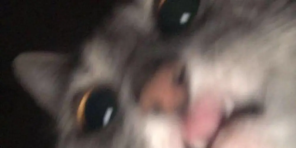 Imagem do grupo de WhatsApp 𝚃𝚆𝙾 𝙱𝙾𝚃𝚂