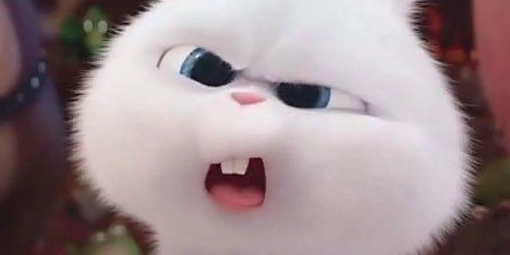 Imagem do grupo de WhatsApp ꧁𓊈𒆜🅻🅾🆂 🅰🅼🅸🅶🅾🆂𒆜𓊉꧂