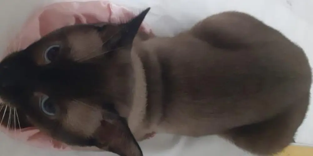 Imagem do grupo de WhatsApp 𝐧𝐢𝐠𝐡𝐭𝐦𝐚𝐫𝐞 📍