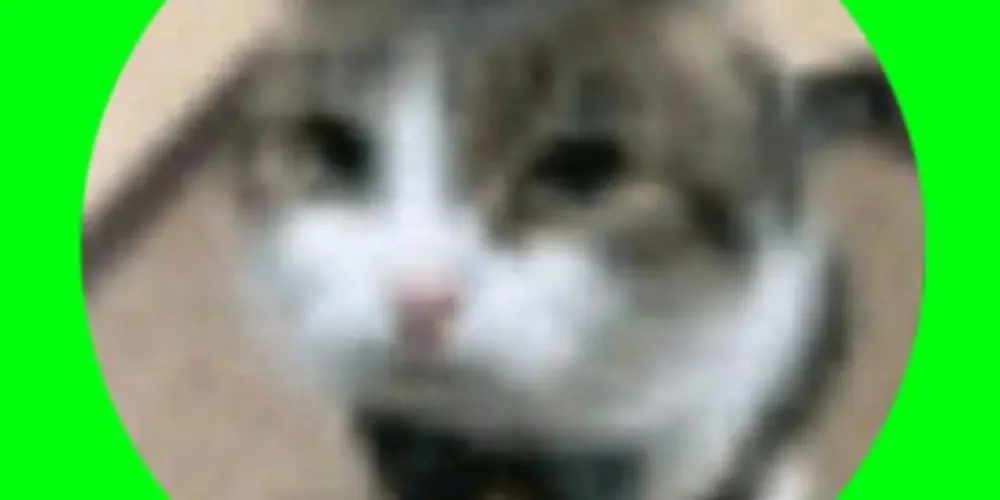 Imagem do grupo de WhatsApp ┏ 𝗗𝗘𝗦𝗢𝗖𝗨𝗣𝗔𝗗𝗢𝗦 ┛