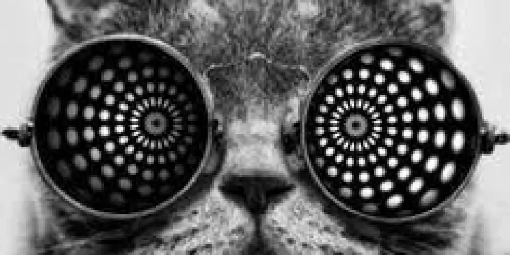 Imagem do grupo de WhatsApp 🅓🅞🅘🅓🅞🅢 🅓🅐🅢 🅘🅓🅔🅘🅐🅢