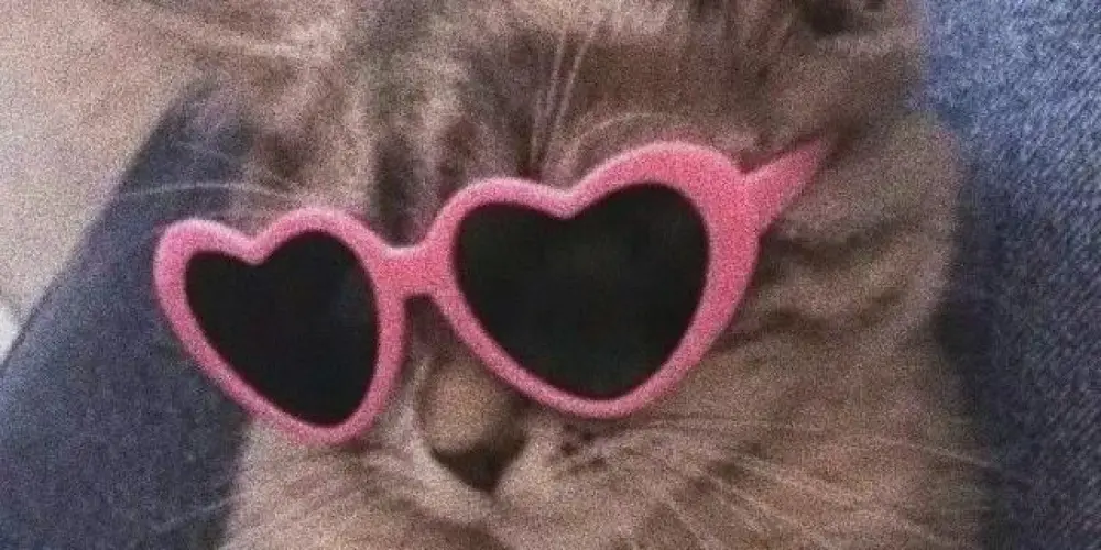 Imagem do grupo de WhatsApp 𝐖ᵉᵇ 𝐀 ₘᵢᶻₐᵈₑₛ ☺︎