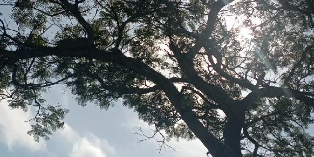 Imagem do grupo de WhatsApp 🫶🥰