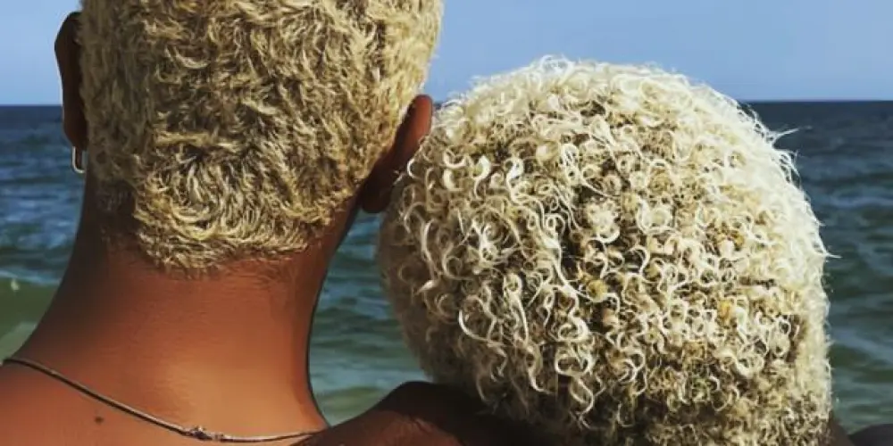 Imagem do grupo de WhatsApp ❀|| 𝙱𝚒 𝚂𝚎𝚌𝚘𝚗𝚍 🏳‍🌈