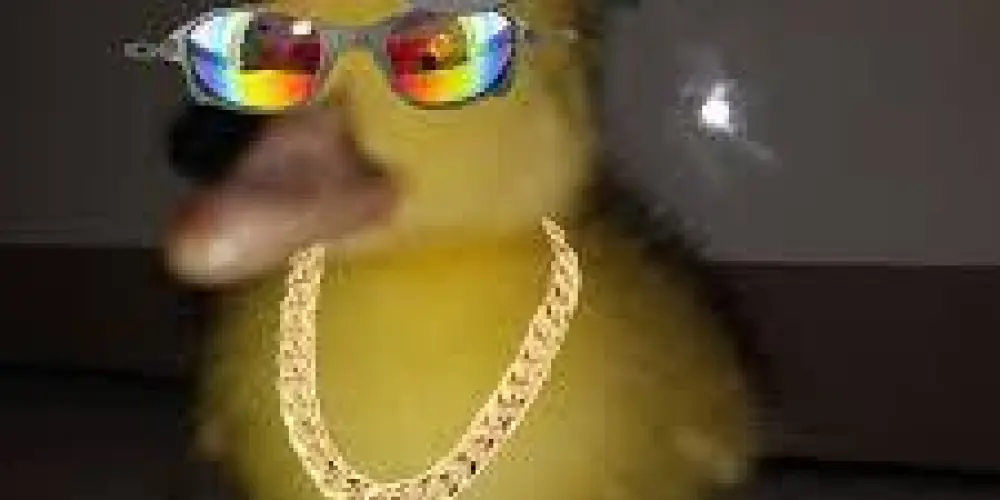 Imagem do grupo de WhatsApp ⛰️𝐎𝐒 𝐃𝐎𝐍𝐎𝐒 𝐃𝐎 𝐌𝐎𝐑𝐑𝐎 ⛰️