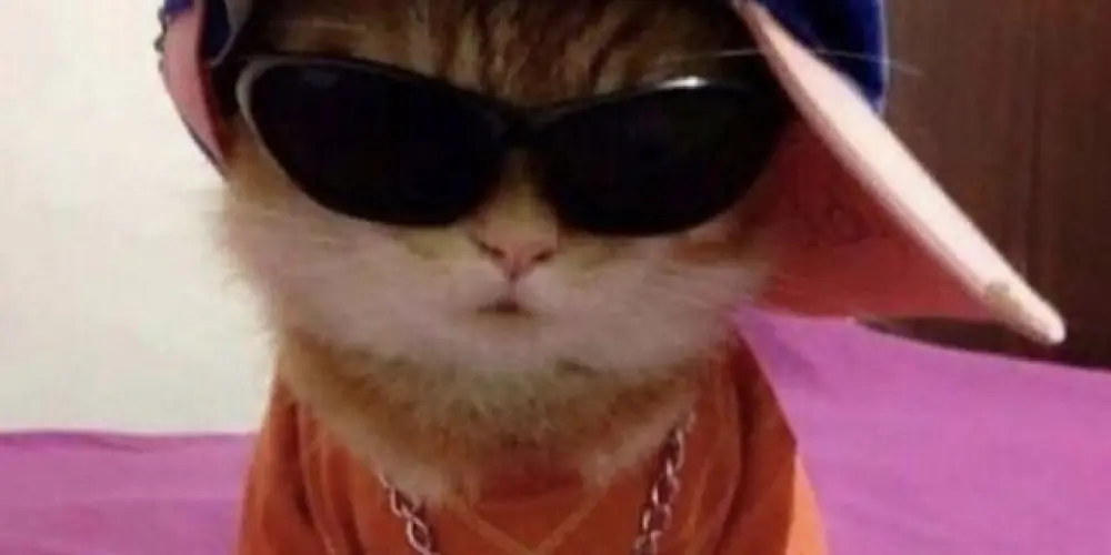 Imagem do grupo de WhatsApp ⒶⓂⒾⓏⒶⒹⒺⓈ