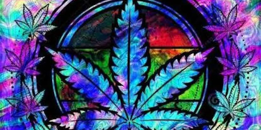 Imagem do grupo de WhatsApp 🍁🚬🍁