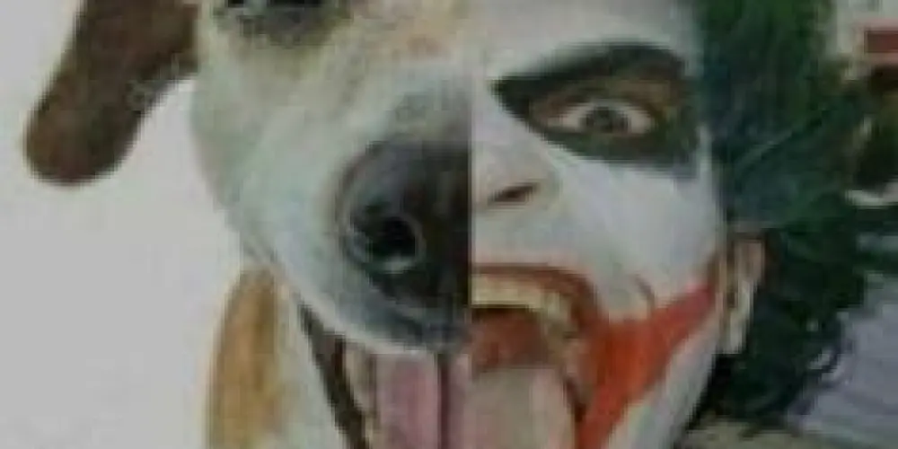 Imagem do grupo de WhatsApp 🔱 𝙏𝙝𝙚 𝙗𝙚𝙨𝙩 𝙨𝙝𝙞𝙩 🔱