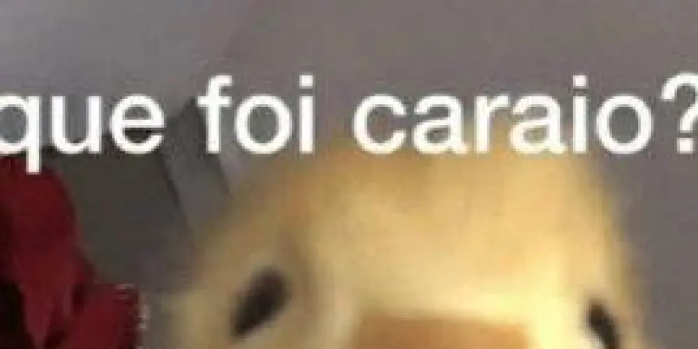 Imagem do grupo de WhatsApp 𝐐𝐮𝐞 𝐟𝐨𝐢 𝐜𝐚𝐫𝐚𝐢𝐨 ? 😡