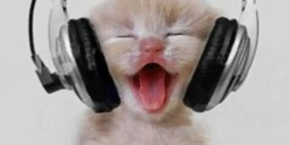 Imagem do grupo de WhatsApp 𓂀𝔸𝕘𝕚𝕥𝕠 𝟚𝟜 𝕙𝕠𝕣𝕒𝕤𓂀