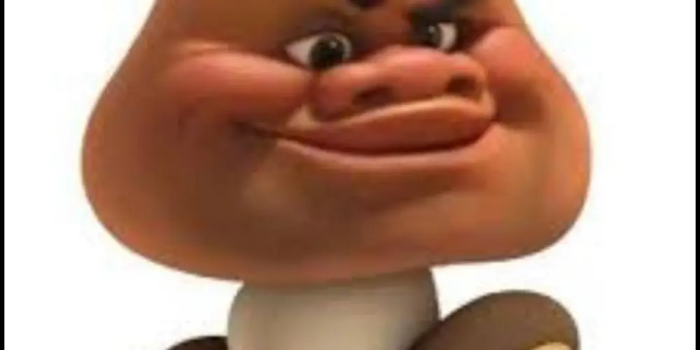 Imagem do grupo de WhatsApp ⚠️Ｆｅｄｅｒａｉｓ ｄａ ｃａｌｃｉｎｈａ⚠️