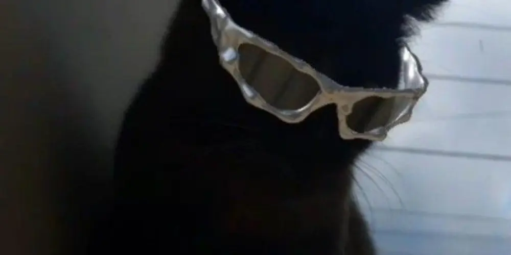 Imagem do grupo de WhatsApp ★彡 [ 𝑾 𝑬 𝑩  𝑪 𝑯 𝑨 𝑻   ] 彡★