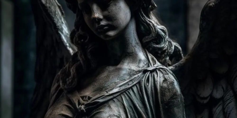 Imagem do grupo de WhatsApp 𝙳𝙰𝚁𝙺𝙽𝙴𝚂𝚂 𝙿𝙻𝙰𝙲𝙴