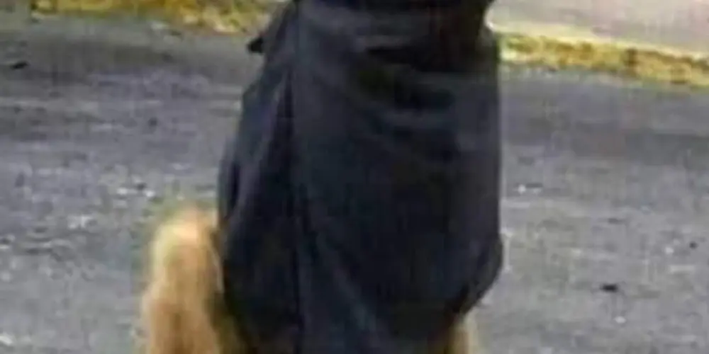 Imagem do grupo de WhatsApp 𝑵𝑬𝑾 𝑶𝑹𝑫𝑬𝑴 🐲