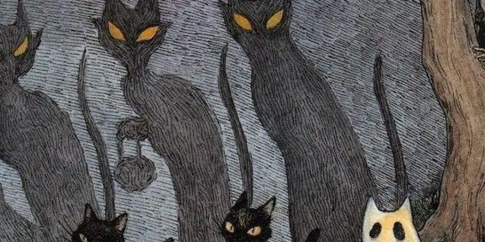 Imagem do grupo de WhatsApp Ａｍｉｇｏｓ ｄｅｓｏｃｕｐａｄｏｓ