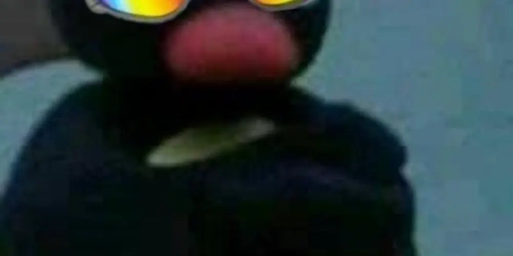 Imagem do grupo de WhatsApp 𝐃𝐊   𝐏𝐈𝐕𝐄𝐓𝐄𝐒