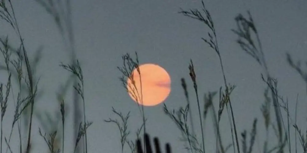 Imagem do grupo de WhatsApp ▀▄★[𝙈𝙤𝙤𝙣 𝙨𝙩𝙖𝙩𝙞𝙤𝙣]★▀▄