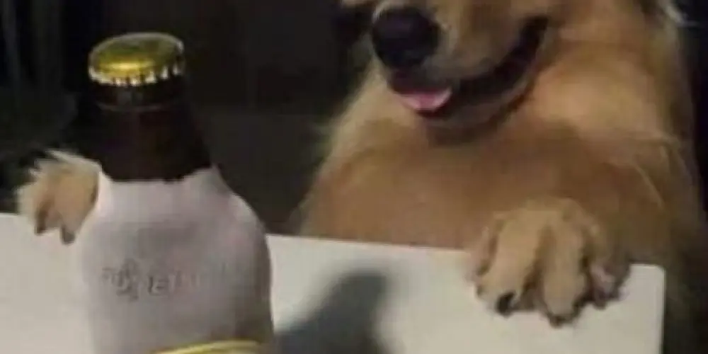 Imagem do grupo de WhatsApp 🤡⃟᮪۬̇⃟˖ꪶ𝑭𝜩𝑹𝑰𝜟͢𝑫𝜤𝑴⃟𝅦🏴‍☠️🔥