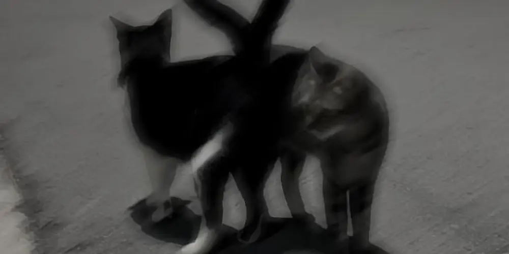 Imagem do grupo de WhatsApp 𝐍𝐚𝐦𝐨𝐫𝐨 𝐨𝐮 𝐚𝐦𝐢𝐳𝐚𝐝𝐞𝐬?