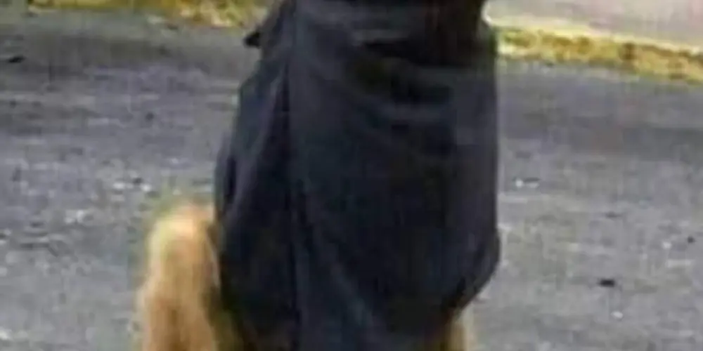 Imagem do grupo de WhatsApp 𝑵𝑬𝑾 𝑶𝑹𝑫𝑬𝑴 🐲