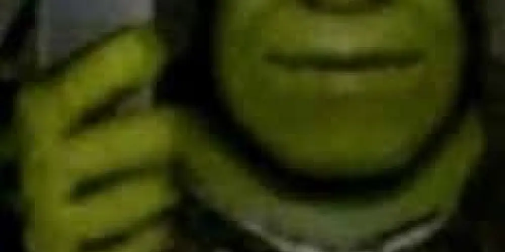 Imagem do grupo de WhatsApp 𝔐𝔞𝔫𝔦𝔠𝔬𝔪𝔦𝔬