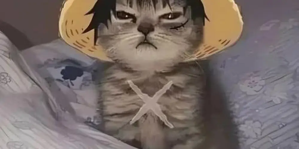 Imagem do grupo de WhatsApp 𝑩𝒂𝒏𝒅𝒐 𝒅𝒆 𝒑𝒓𝒐𝒃𝒍𝒆𝒎𝒂𝒕𝒊𝒄𝒐𝒔(𝒂𝒔)📍🫂🤌🏻