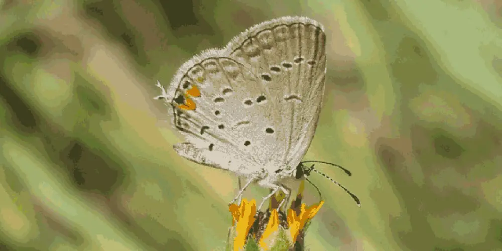 Imagem do grupo de WhatsApp 𝐀𝐦𝐢𝐠𝐮𝐢𝐧𝐡𝐨𝐬𝚠𝚎ｌ🫶🏼