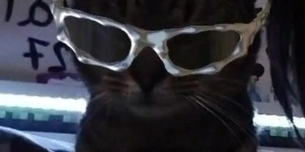 Imagem do grupo de WhatsApp ╰•★★ 🇦🇴  𝚆𝚎𝚋 𝚌𝚑𝚊𝚝 🔥★★•╯