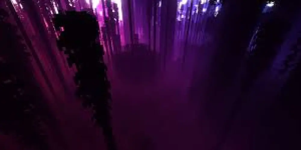 Imagem do grupo de WhatsApp 𝕬𝖒𝖟 𝖉𝖔𝖘 𝖋𝖘