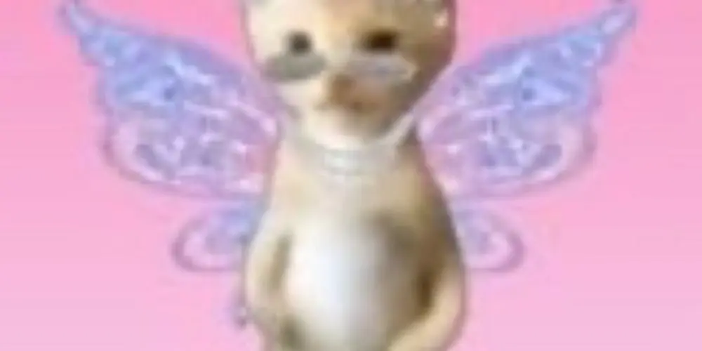 Imagem do grupo de WhatsApp 🧚‍♀️