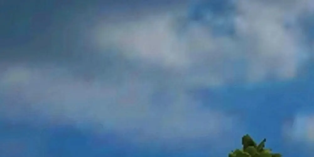 Imagem do grupo de WhatsApp 🔥