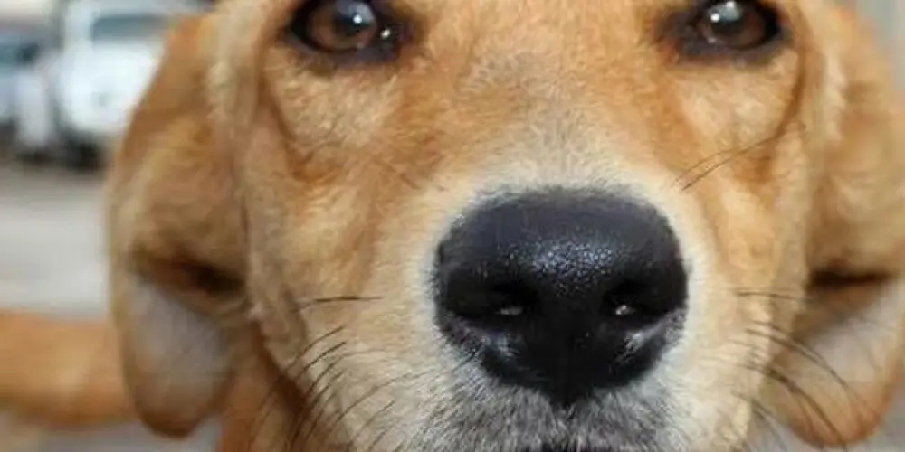 Imagem do grupo de WhatsApp 𝕸𝖆𝖊𝖗𝖘𝖐