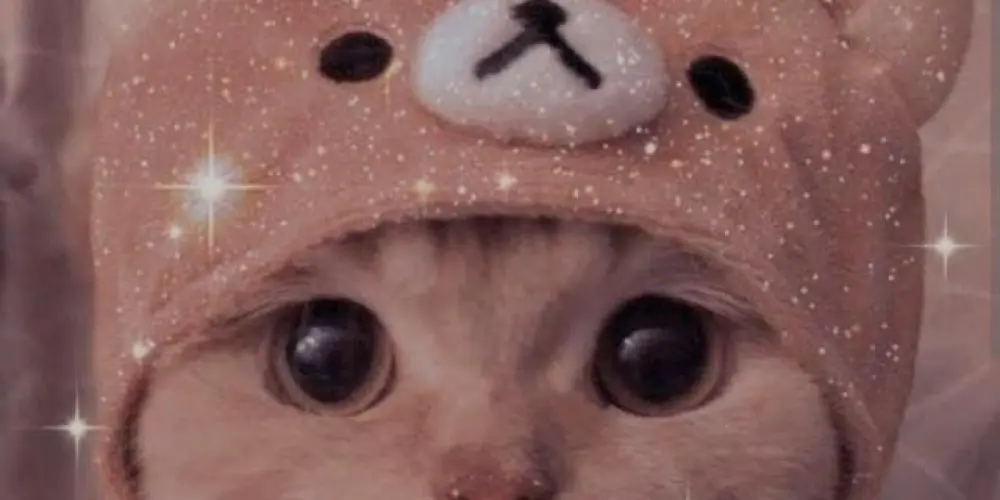 Imagem do grupo de WhatsApp ❤️‍🔥🔥𝖈𝖍𝖆𝖙 𝖉𝖆 𝖗𝖎𝖙𝖒𝖆𝖉𝖆 🔥❤️‍🔥